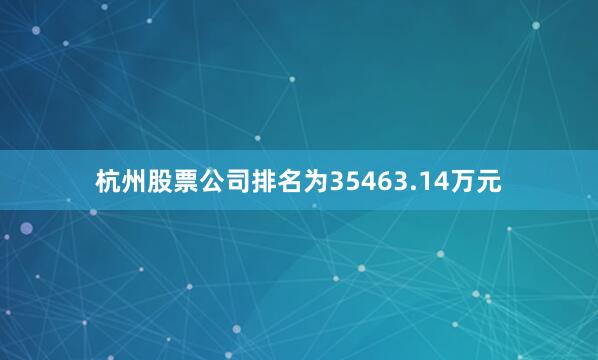 杭州股票公司排名为35463.14万元
