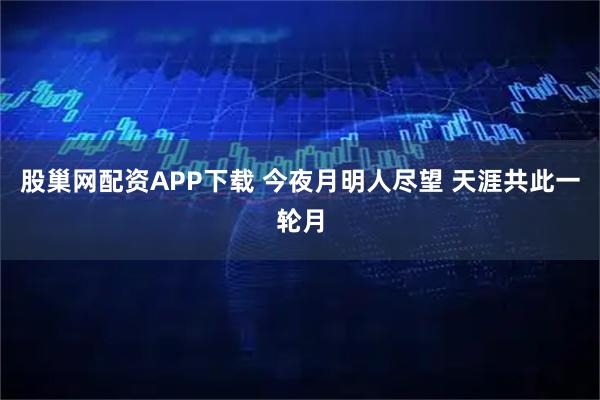 股巢网配资APP下载 今夜月明人尽望 天涯共此一轮月