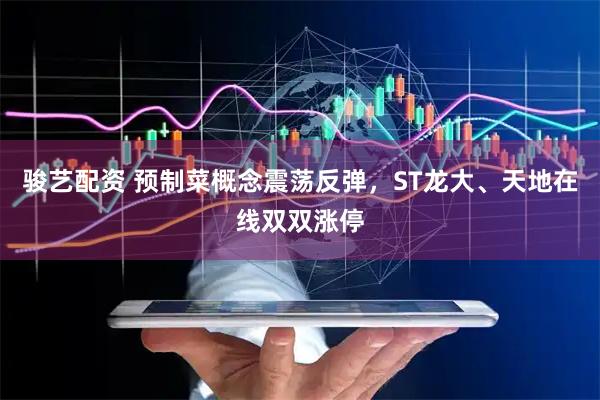 骏艺配资 预制菜概念震荡反弹，ST龙大、天地在线双双涨停